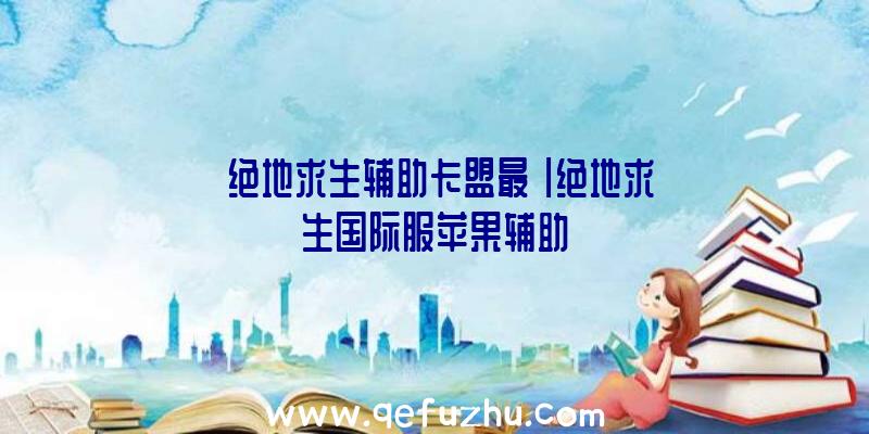 「绝地求生辅助卡盟最」|绝地求生国际服苹果辅助